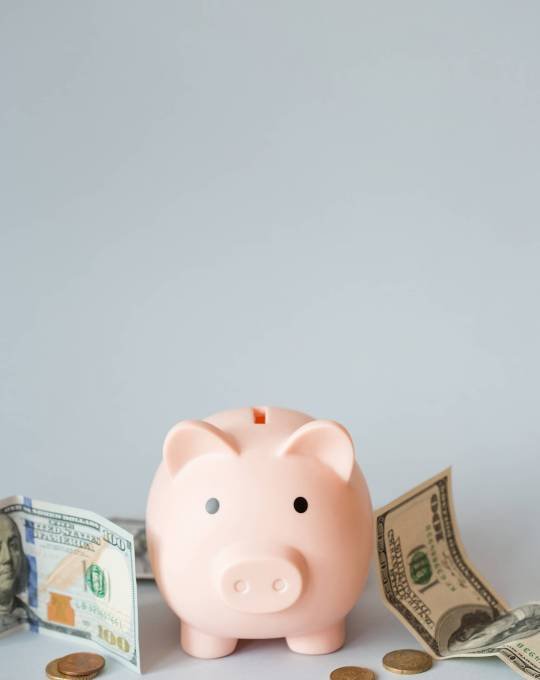 piggy-bank-dollars-and-cents-on-gray-background-w-2025-01-16-07-43-42-utc